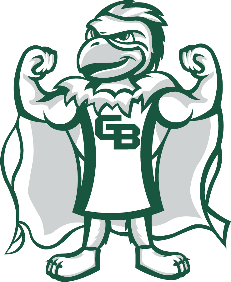 Wisconsin-Green Bay Phoenix 2020-Pres Mascot Logo v5 DIY iron on transfer (heat transfer)